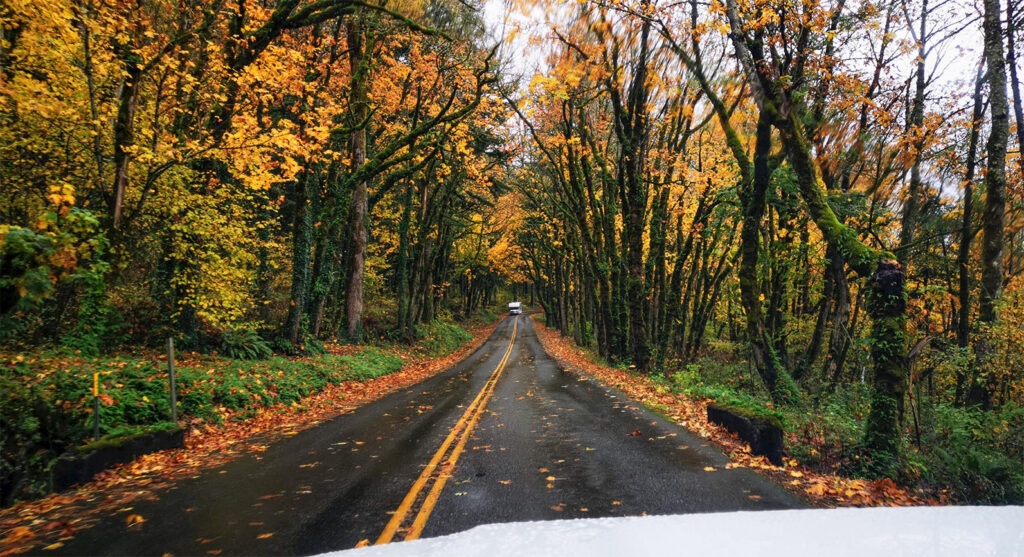 Fall Color in Columbia River Scenic byway